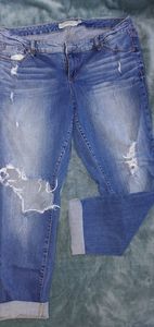 Torrid Size 16 Distressed Boyfriend Crop Jean